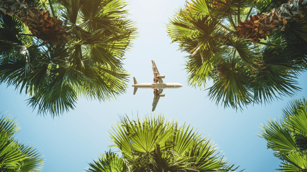 Summer Is Here and the Sun Is Shining: Should Your Small Business Have a Vacation Policy? with a plane flying past palm trees